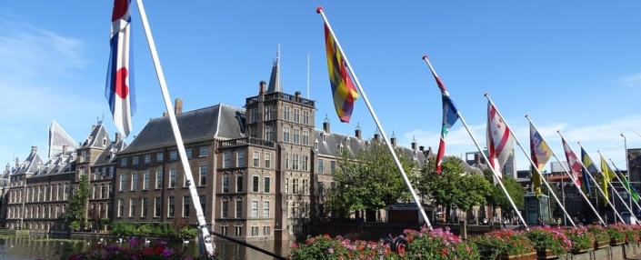 Hofvijver flags of the world