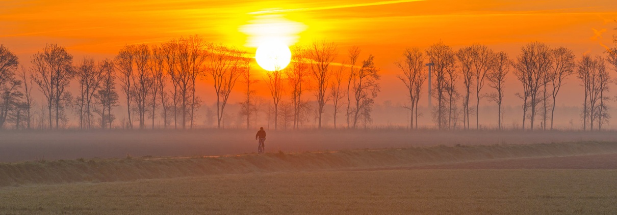 Losing your job in the Netherlands 2020