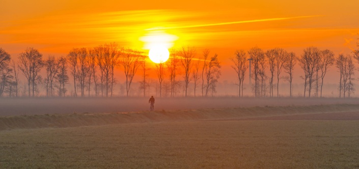 Losing your job in the Netherlands 2020